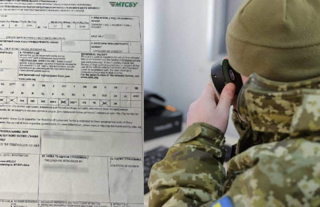 Водитель пытался выехать в Венгрию с поддельной «зеленой картой» — что ему теперь грозит