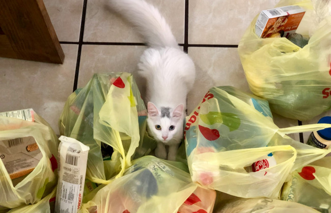 Перед Пасхой продолжили дорожать продукты – подешевела только мука