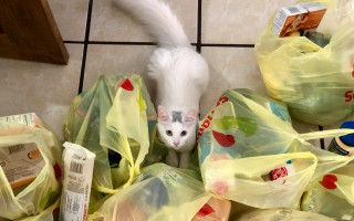 Перед Пасхой продолжили дорожать продукты – подешевела только мука