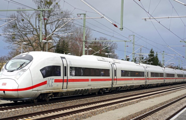 У Німеччині двоє садівників спиляли дерево біля залізниці, що спричинило затримки 382 потягів