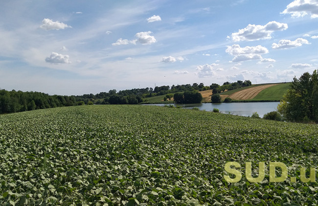 В Минюсте напомнили особенности госрегистрации права аренды на невостребованные земельные участки