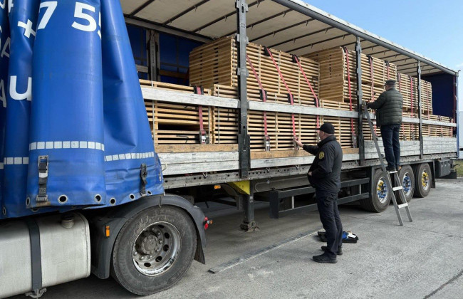 Таможенники остановили грузовик с контрабандным дубом на почти миллион гривен