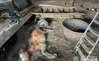 В Хмельницкой области мужчина содержал более 30 коней в ужасных условиях