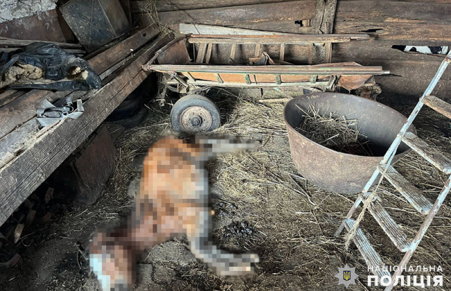 В Хмельницкой области мужчина содержал более 30 коней в ужасных условиях