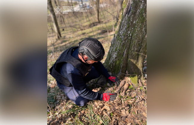 У парку «Феофанія» випадково знайшли дві мінометні міни
