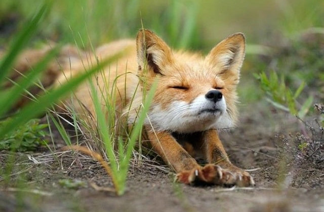 В Украине начался «сезон тишины» – что нельзя делать