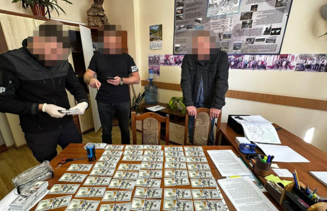 $65000 за аренду земли — дело директора Хотинского нацпарка передали в суд