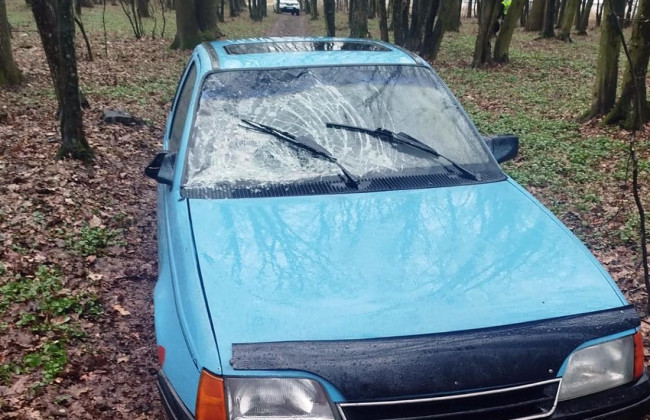 На Житомирщине водитель сбил женщину с ребенком и скрылся с места ДТП