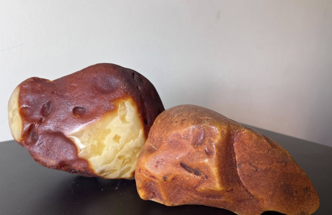 Таможенники изъяли мечту ювелиров – уникальные образцы янтаря, которые пытались вывезти за границу