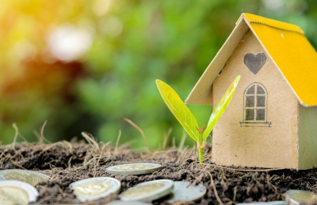 Арендная плата за землю — налоговая напомнила важные аспекты для плательщиков налогов