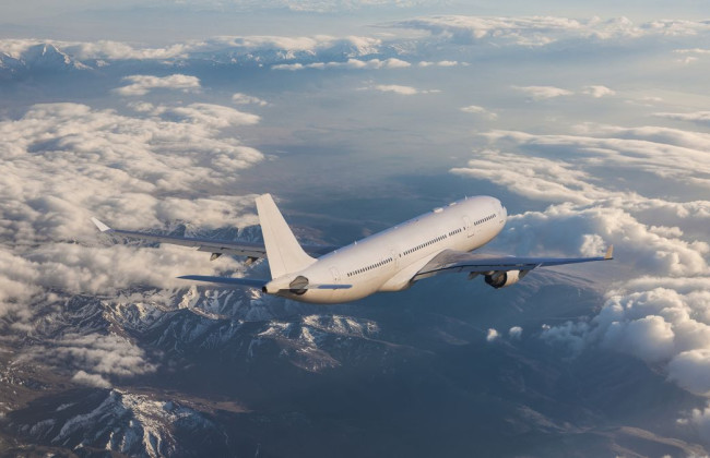 Мужчину из Иордании, работающего в правительстве, задержали за попытку открыть аварийные двери самолета во время полета