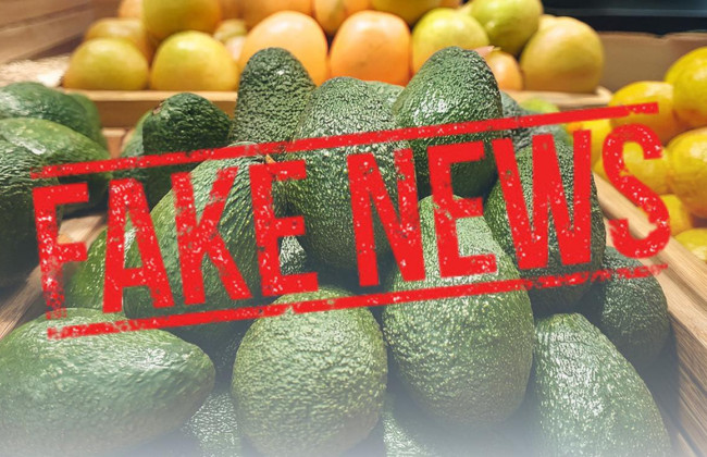 Госпродпотребслужба опровергла информацию о ядовитом перуанском авокадо на украинских прилавках