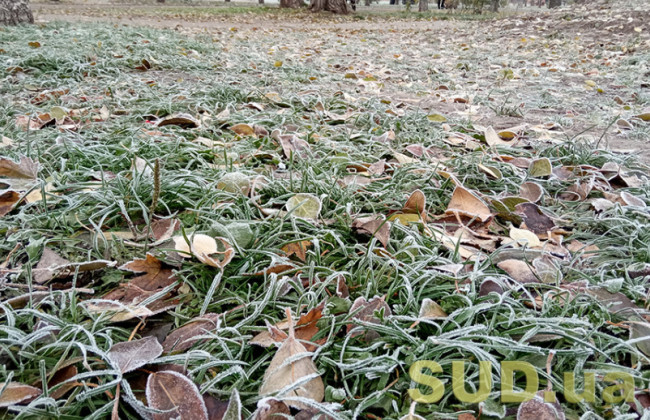 До -5 градусов — жителей Киевщины предупредили о заморозках