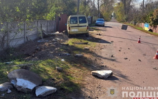 На Житомирщині водію, який збив дитину, призначили рік іспитового строку