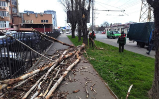 Повалені дерева та пошкоджені автівки — в Одесі вирує негода, фото