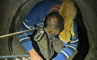 На Львівщині чоловік поліз за котом в криницю – обох діставали уже рятувальники, фото