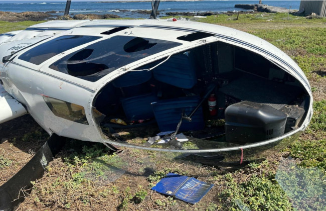 Пингвин вызвал падение вертолета в Южной Африке