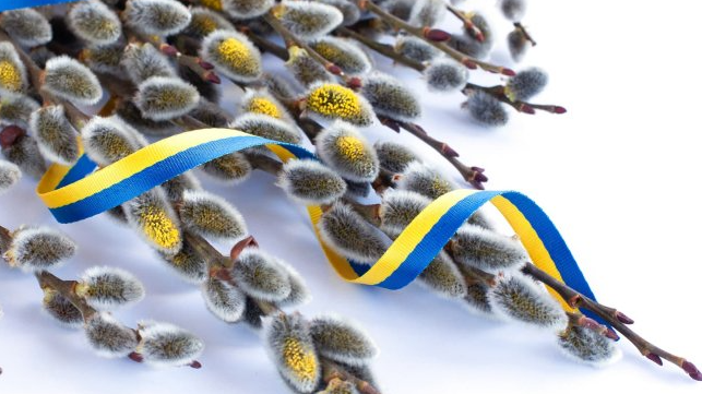 «Не я бью – верба бьет» – 13 апреля украинцы празднуют Вербное воскресенье