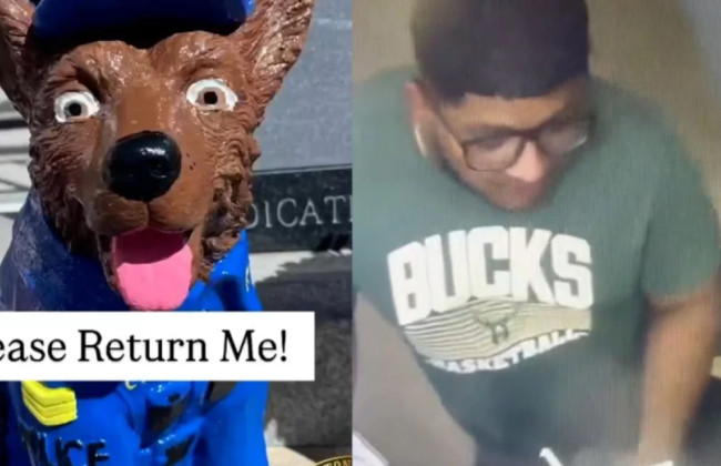 «Он не чаевые, Гекторе» – курьер украл собаку из-под полицейского участка