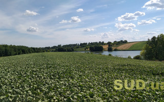 Нотариальное удостоверение земельных соглашений — алгоритм действий