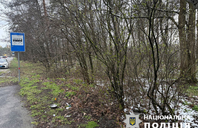 «Работа» в лесу – киевлянка едва выжила после нападения ухажера