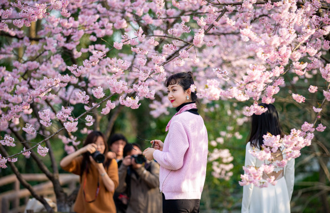 В Китае борются с трудоголизмом: офисных работников призывают меньше работать