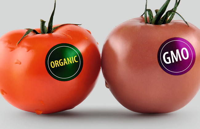 Кабмин утвердил Порядок ведения Государственного реестра ГМО