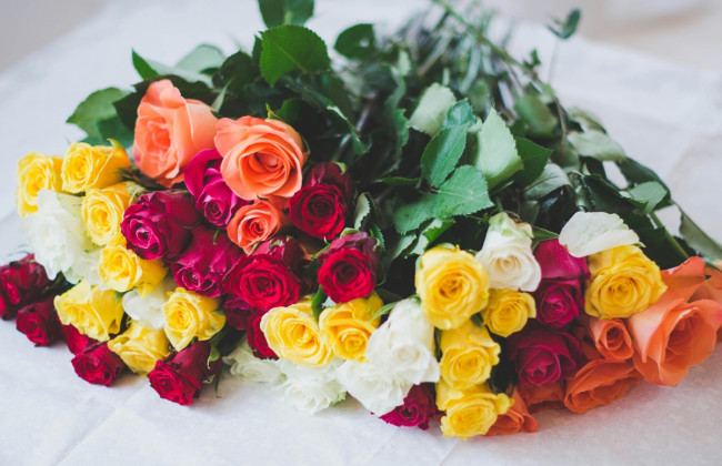 Жовта квітка, з якої все почалося: вчені віднайшли прародичку сучасних троянд