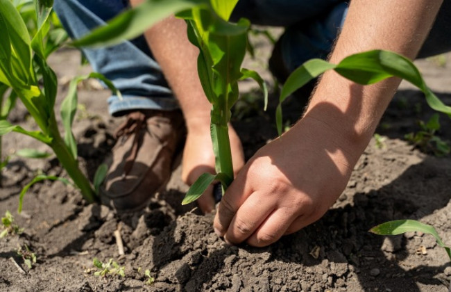 Женщина просила обязать сельсовет выделить ей из земельного участка пай — Верховный Суд высказал позицию о том, что non reformatio in peius