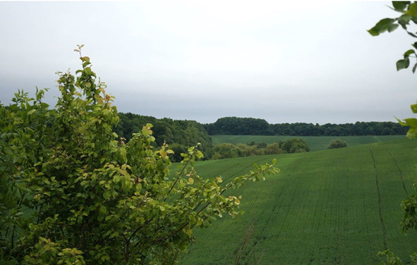 Суд обязал сельсовет определить границы парка-памятника местного значения в Хмельницкой области