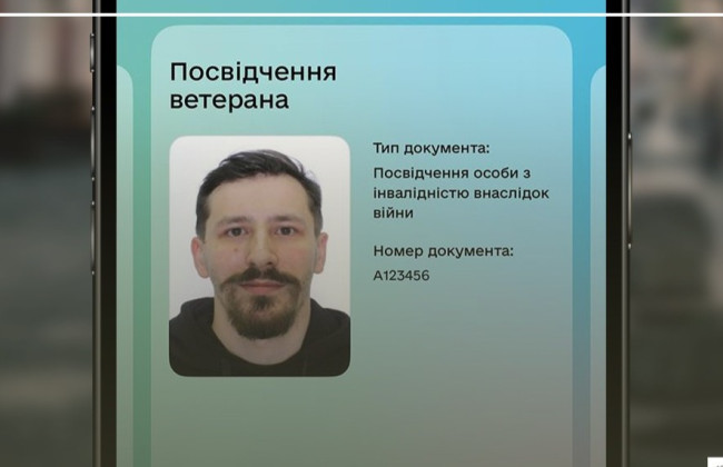 В Минветеранов объяснили, что делать, если не отображается удостоверение ветерана в Дии