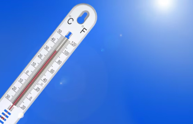В Киевской области зафиксированы новые температурные рекорды