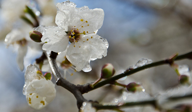 В Украине прогнозируют сухую погоду и заморозки на выходных