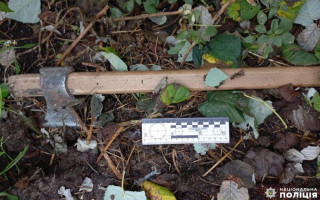 Забил топором — в Ровенской области судили мужчину за жестокое убийство матери