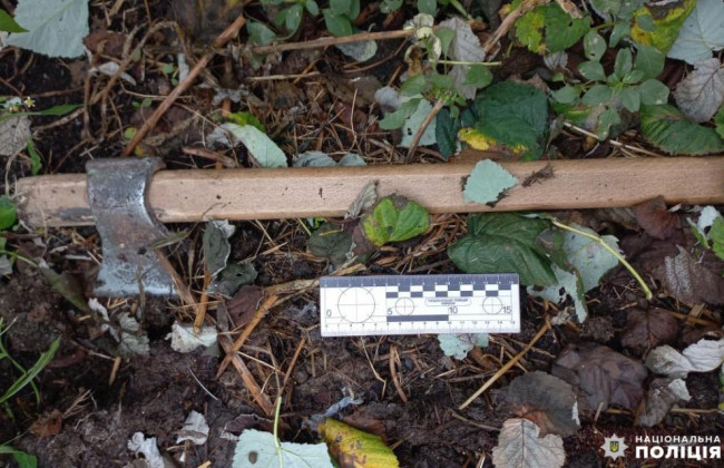 Забил топором — в Ровенской области судили мужчину за жестокое убийство матери