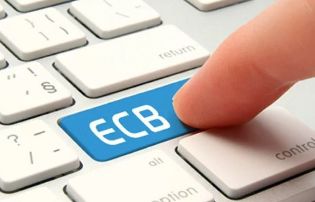 Пенсионный фонд объяснил, как уплата ЕСВ влияет на размер пенсии и других государственных выплат