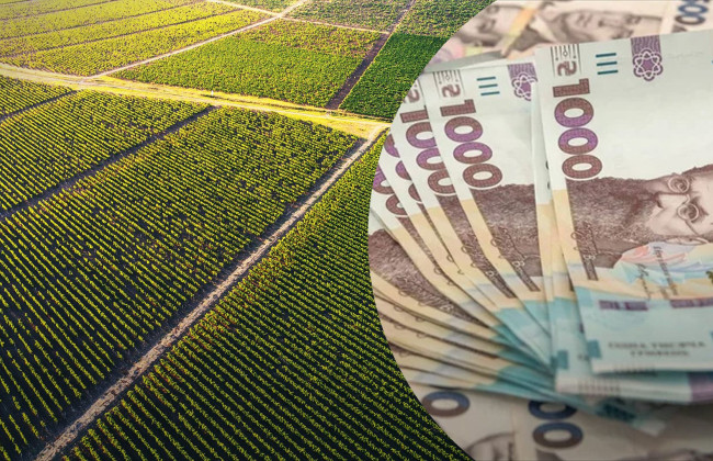 Мошенник на миллион: в Ирпене мужчина незаконно присвоил землю и продал ее