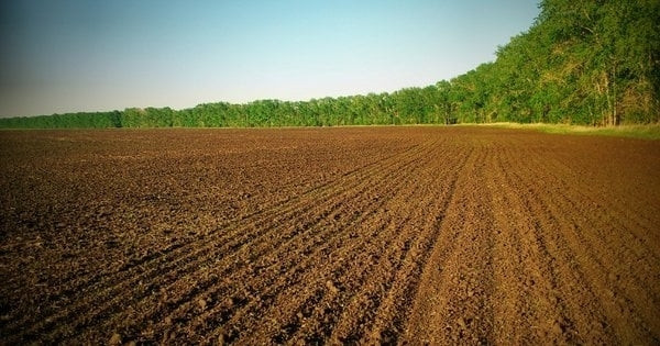 В Хмельницкой области общине вернули 300 га земли стоимостью более 16 млн грн