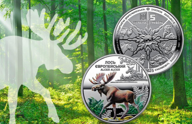 Нацбанк выпустил в обращение монету с лосем – как выглядит