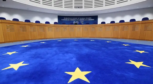 Верховний Суд опублікував огляди практики ЄСПЛ за рішеннями, ухваленими впродовж січня-лютого 2025 року