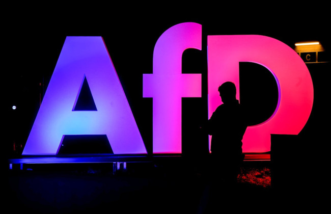 Партия «Альтернатива для Германии» будет судиться с властями из-за статуса праворадикальной партии