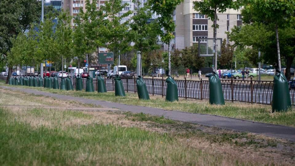 В Киеве деревья одевают в мешки — в КГГА объяснили идею