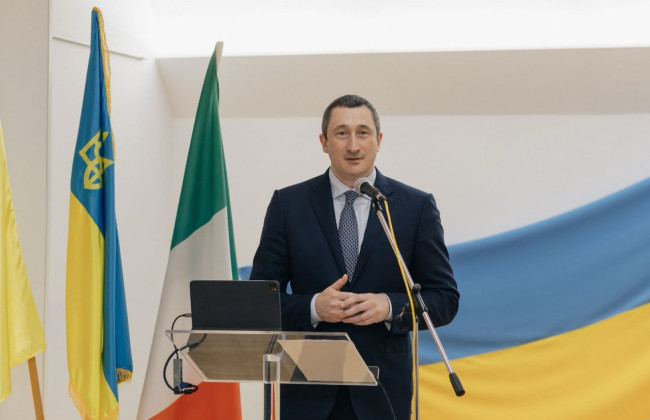 Алексей Чернышов анонсировал закон о множественном гражданстве до конца года