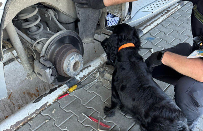 Закарпатец спрятал во внедорожнике 159 блоков сигарет – не помог даже «зеленый коридор»