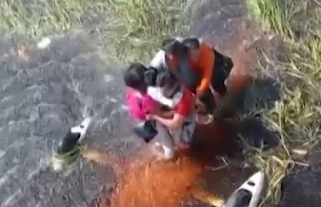 Туристы уцелели после крушения самолета в джунглях и на 36 часов попали в ловушку аллигаторов и анаконды