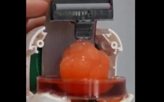 Вчені виростили з людських клітин міні-мозок і змусили його керувати роботом — відео