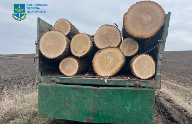 В Хмельницкой области лесничий пытался присвоить древесину почти на 400 тысяч гривен