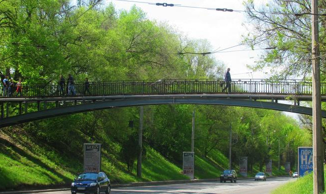 Нетрезвый мужчина в Харькове заставил полицию проверять мосты на взрывчатку – суд вынес приговор