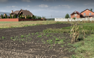 Земельна ділянка сільськогосподарського призначення, отримана іноземцем у спадщину та не відчужена ним протягом року, підлягає конфіскації – Верховний Суд