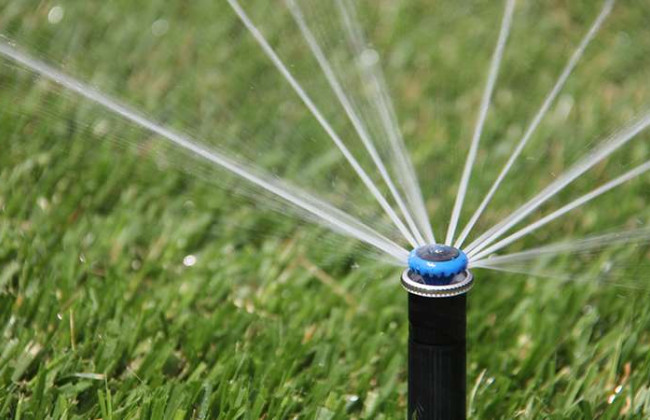 В налоговой объяснили, являются ли плательщиками ренты за специспользование воды садоводческие и огороднические общества